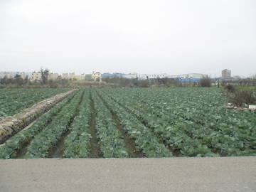 大甲南北四路農地-台中市大甲房屋大甲不動產東森房屋