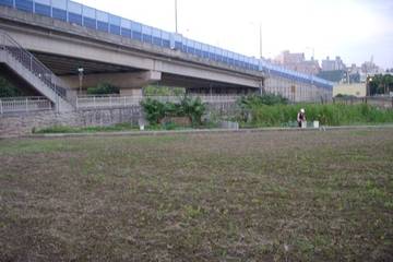 幼獅工業用地875.13坪