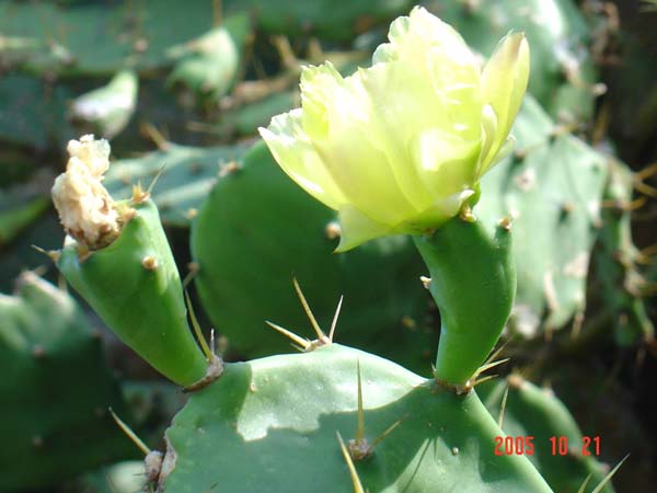 757179_58cbeae6c124129edaad2b258b7f75d5