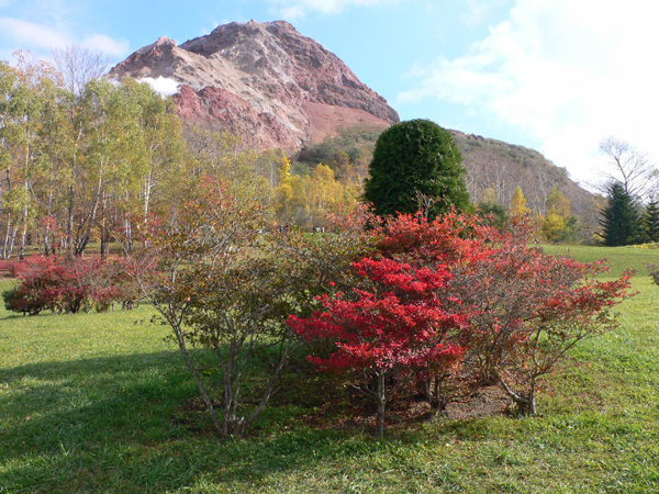 757319_af97ba90a0c3047eb374c27ba7664180