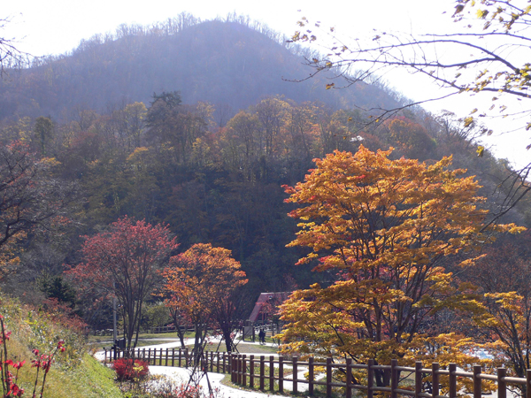 757320_f09cbddb27113dd93d19a034c5cf3916