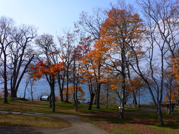 757321_2f25efbfe3a14c402e3af9dd820fc76a