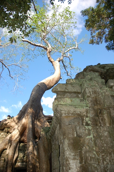 757456_98170cf77ea76bee5530b109c8d6b3a1