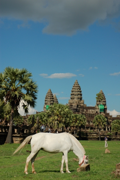 757459_6d5f0d80ff6a1754aac83f68b27784cf