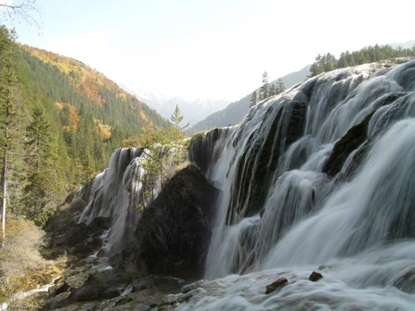 757492_a83844d22e2cf0419fe80f7f4fbe3cd6