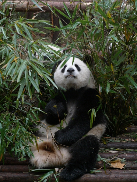 757493_727307d19159429d9297fd20d20a237a