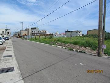 航空城路旁農地