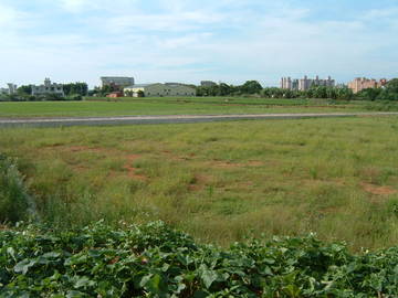 復旦中學美農地