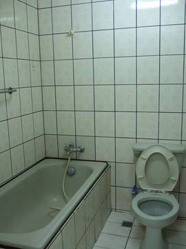 大甲御賞天下套房★