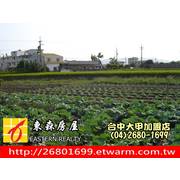 日南臨江路朝南美田-台中市大甲房屋仲介大甲不動產東森房屋