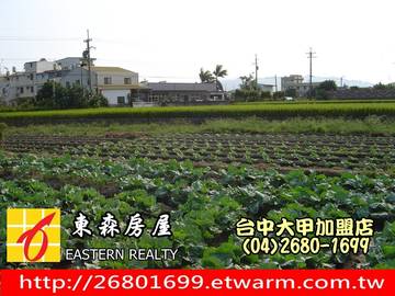 日南臨江路朝南美田-台中市大甲房屋仲介大甲不動產東森房屋