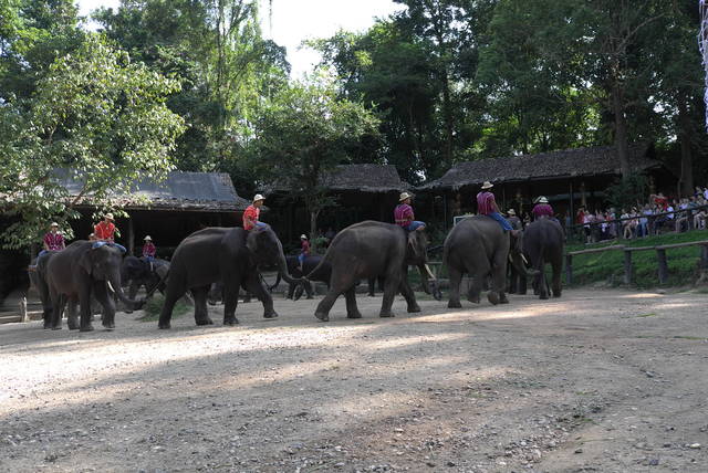 805202_ce9726812bc123195b347aed249e57e0