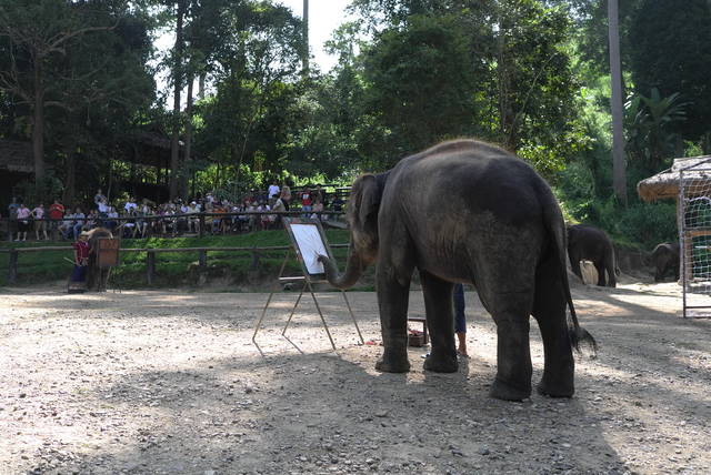 805203_cf8654d70de19035088acf41df115d49