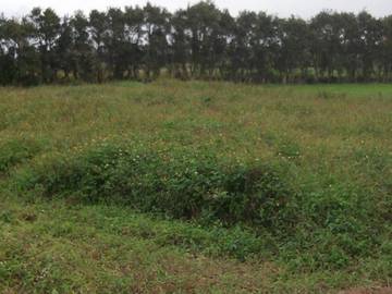 新屋大坡資材室