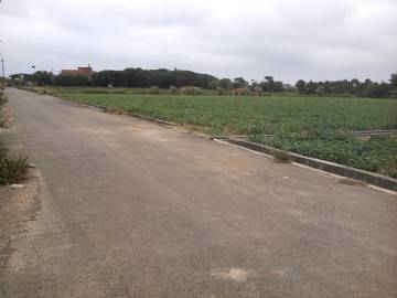 新屋大坡資材室