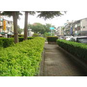 東區綠園道透店