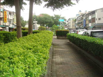 東區綠園道透店