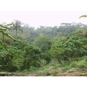 歸仁甲種工業用地