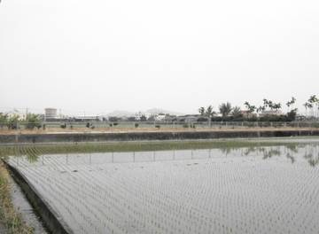 彰化✠芬園美農地