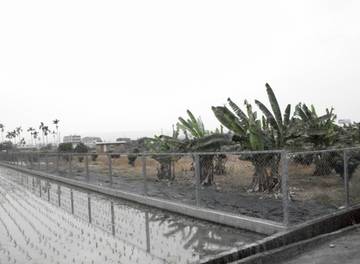 彰化✠芬園美農地