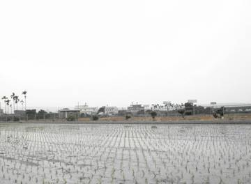 彰化✠芬園美農地