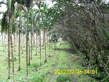 花蓮蝴蝶谷溫泉寶地