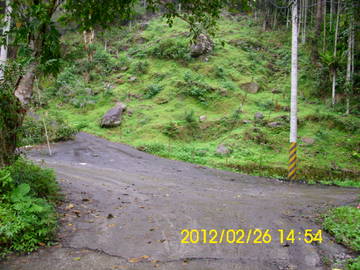 花蓮蝴蝶谷溫泉寶地