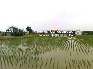 ●農地●新屋66旁方正漂亮農地
