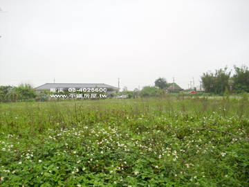 ●農地●觀音66旁漂亮農地