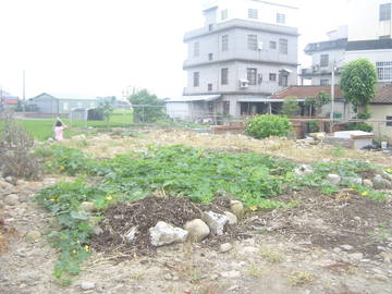 二張犁建地