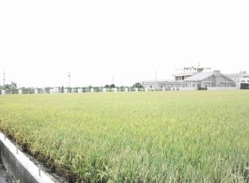 彰化埔鹽鄉農地