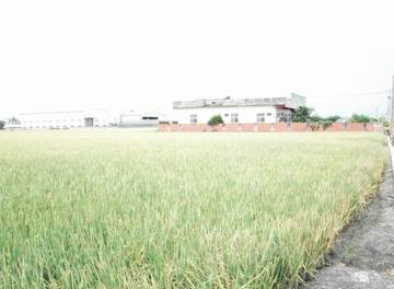 彰化埔鹽鄉農地