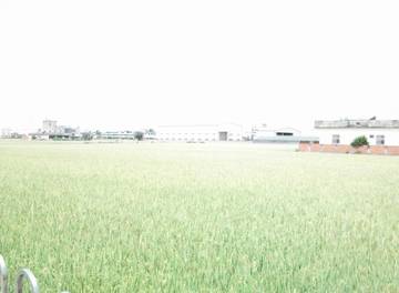 彰化埔鹽鄉農地