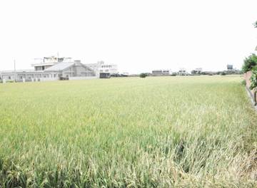 彰化埔鹽鄉農地