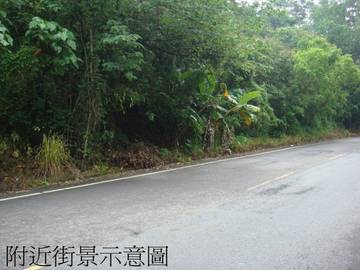 ★南投房屋/土地仲介★南投家友房屋-分水寮山坡地