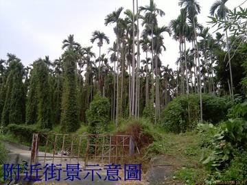 ★南投房屋/土地仲介★南投家友房屋-虎子坑農地二