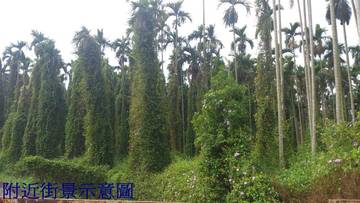 ★南投房屋/土地仲介★南投家友房屋-虎子坑農地二