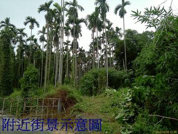 ★南投房屋/土地仲介★南投家友房屋-虎子坑農地二