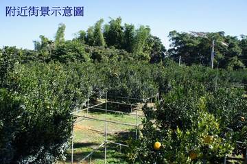 ★南投房屋/土地仲介★南投家友房屋-弓鞋農地