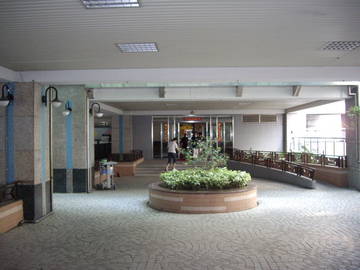 黎明高樓視野戶