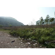 大甲房屋仲介 買賣屋大甲外埔大安 -經國路都地