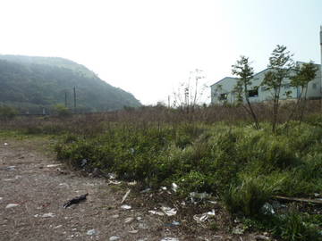 大甲房屋仲介 買賣屋大甲外埔大安 -經國路都地