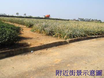 ★南投房屋/土地仲介★南投家友房屋-弓鞋農地一