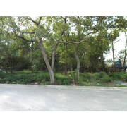  大甲房屋仲介 買賣屋大甲外埔大安 - 經國路旁建地