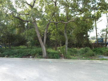  大甲房屋仲介 買賣屋大甲外埔大安 - 經國路旁建地