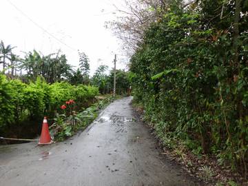 農地有機果樹&菜園