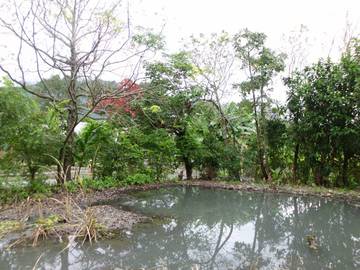 農地有機果樹&菜園
