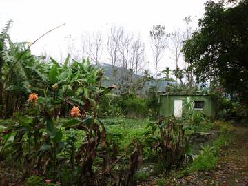 農地有機果樹&菜園