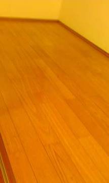 南區一樓公寓出租(適上班族)