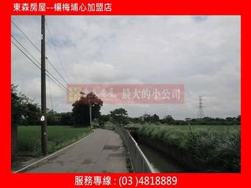 楊新路高鐵旁農地